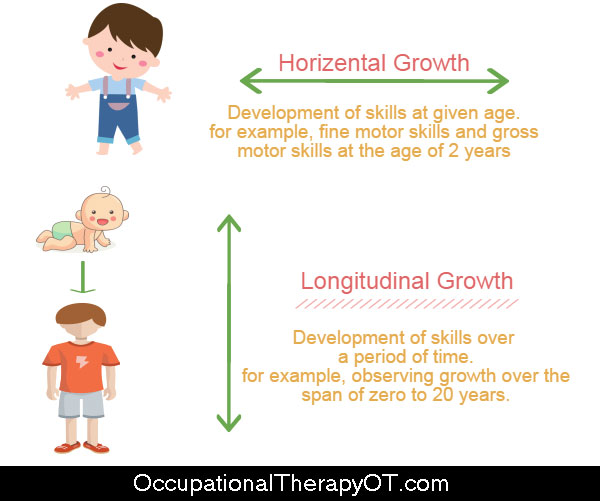 Developmental frame of reference: horizontal and longitudinal growth