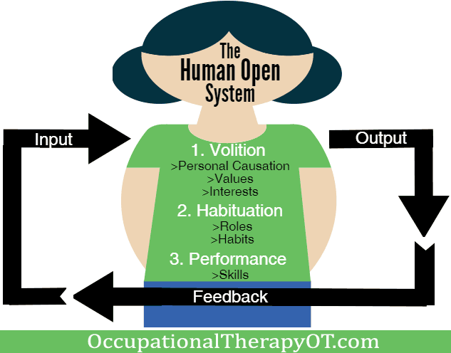 The open system in MOHO