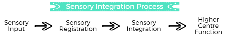 The sensory integration process